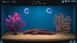 画像ギャラリー No.006のサムネイル画像 / アクアリウムショップ経営を楽しめる「The Fish Corner」，デモ版が6月12日にSteamで公開予定