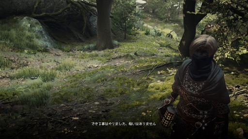 画像ギャラリー No.013のサムネイル画像 / Switch2版「ドラゴンズドグマ 2：ダークアリズン」。広大な世界で出会いと別れを重ねる旅。追加コンテンツまでの時間もチェック［プレイレポ］