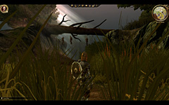 ꡼ No.015 | GC 200826ϥץ쥤䡼ʪѤƤRPGDragon AgeOriginsפκǿࡼӡ3Ǻ