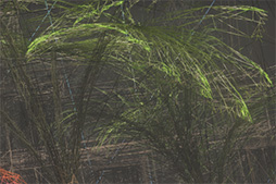 ꡼ No.076 | ꥳ󥹥AndroidiOSб3D٥ޡMOBILE GPUMARKפ̩