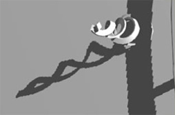 ꡼ No.010 | ʤ3DGEGTX 980 TiѤȤϪ줿DX12١οǥMECH TiסεѤ