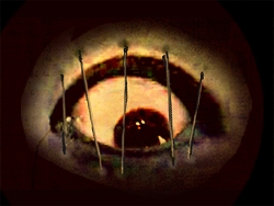 画像ギャラリー No.012のサムネイル画像 / 【リリース】NDSホラーゲーム「みてはいけない」に，「ローズ」の世界が登場！？