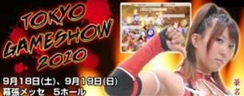 ���������꡼ No.003�Υ���ͥ������ / �֥�����������ޥåפ�Ŭ��Lv���������ɥ��åפ���Ĵ���»�