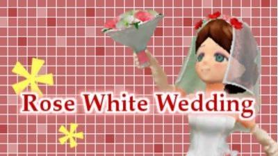 ���������꡼ No.004�Υ���ͥ������ / �֥������ס�������ʡ����������������ˡ������и��ͤ��������