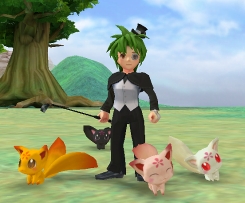 ꡼ No.003Υͥ / ֥饤ס⤤ɸϤä־״ɶϣǽ