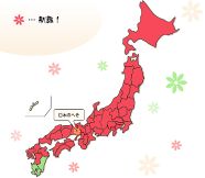 ꡼ No.006Υͥ / ֥饤7ǯǰ٥1ƤϤ餯ޥΥǥ罸