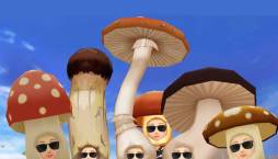 ꡼ No.001Υͥ / ֥饤ץǱĥफΤΤ餻ǧǽ