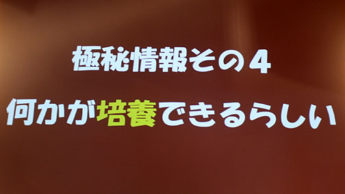 ꡼ No.017Υͥ / TGS 2010ϡֿžIMAGINE׼緿åץǡȡȥ֥ڳɾ⤽μϡȿΡɤȡġġ