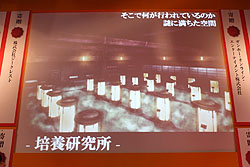 ꡼ No.019Υͥ / TGS 2010ϡֿžIMAGINE׼緿åץǡȡȥ֥ڳɾ⤽μϡȿΡɤȡġġ