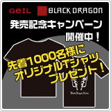 画像集#002のサムネイル/GeILのゲーマー向けメモリモジュール購入で先着1000名に特典が