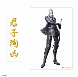 ���������꡼ No.005�Υ���ͥ������ / PSP�ѥ���åס�Falcon PRO�פΡ����BASARA���𾭥��륨�åȻ��ͤ��о�