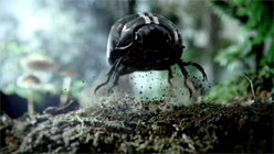 ꡼ No.010Υͥ / SIGGRAPHϹΡElectronic Theater2011ǯǥݡȡʸԡˡѰФCGࡼӡꥢ륿ǥҲ