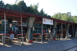 ꡼ No.017Υͥ / NVIDIA֥Хȥե3פΥեåѤ⡣ϥХ륤ߥ͡