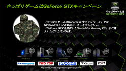 ꡼ No.024Υͥ / NVIDIA֥Хȥե3פΥեåѤ⡣ϥХ륤ߥ͡