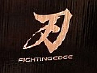 HORIの新作アーケードスティック「ファイティングエッジ」，速報