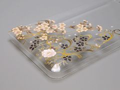 ���������꡼ No.001�Υ���ͥ������ / ������ƥå�������3DS�ϡ��ɥ��С��˥��ꥢ�Ǻ����Ѥ�����ǥ뤬�ä��