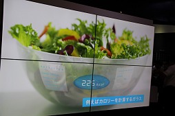 ���������꡼ No.024�Υ���ͥ������ / ��Ǿ�ᥬ�ͤ�8K�ǥ����ץ쥤�ʤɡ����ܤ�IT�����Ŷȳ��������ü���Ѥ��뽸������CEATEC 2012�׳���