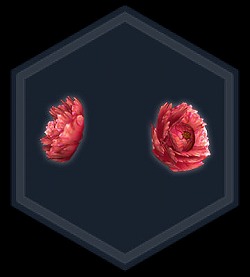 ���������꡼ No.004�Υ���ͥ������ / �ֿ�����Ԣ̵�� Online�פȥ��˥����ŷ��ϩ�ץ������å���3�Ƥϡġġ�