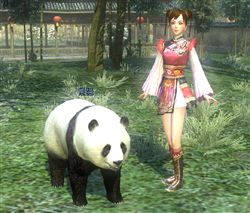 ���������꡼ No.013�Υ���ͥ������ / �ֿ�����Ԣ̵�� Online�ץ��åץǡ��ȡ�Revolution 5�פ�11��17���˼»ܤ�����