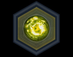 ���������꡼ No.010�Υ���ͥ������ / �ֿ�����Ԣ̵�� Online��Revolution 5������ǰ�����ڡ���γ���