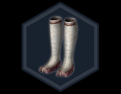 ꡼ No.014 | ֿԢ̵ OnlineסåץǡȡϤۡɤ1216»