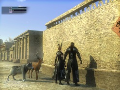 ꡼ No.024 | ֿԢ̵ Online ŷ緿åץǡȡRevolution 9ץݡȡֲפ̣ȤϢȤ򶯲褦