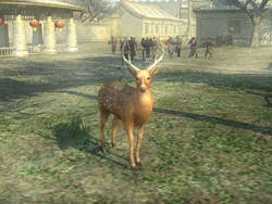 ꡼ No.011 | ֿԢ̵ OnlineסåץǡȡRevolution 9פ721