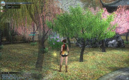 ꡼ No.024 | ֿԢ̵ Onlineפοĥѥåԥץ쥤ݡȡХȥԢ̵פ󥹥Ȥ襤Ǯ