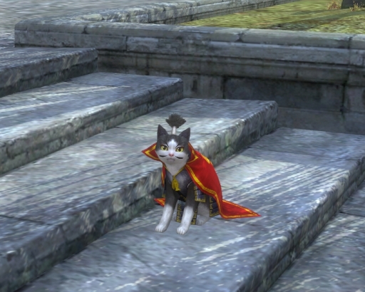 画像ギャラリー No.001のサムネイル画像 / 「真・三國無双 Online」のぶニャがの野望とのコラボアイテムがもらえる