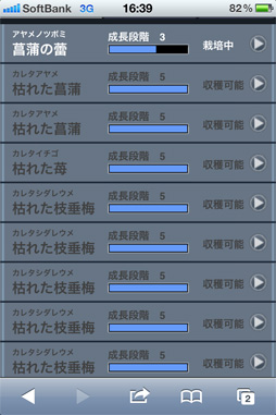 ꡼ No.036 | 2ܤ¿̤ʥܤȶ򡪡ֿԢ̵ Online Zԥץ쥤ݡ