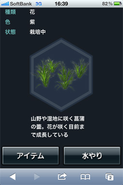 ꡼ No.037 | 2ܤ¿̤ʥܤȶ򡪡ֿԢ̵ Online Zԥץ쥤ݡ