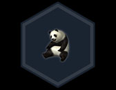 ���������꡼ No.006�Υ���ͥ������ / �ֿ�����Ԣ̵�� Online Z�ס�����¤����礹�륭���ڡ���������������