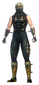 ���������꡼ No.012�Υ���ͥ������ / �ֿ�����Ԣ̵�� Online Z�ס��������ץ�ε�ǽ��ĥ�ʤɡ�Rising 1�׾��󤬹���