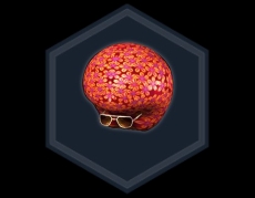 ���������꡼ No.008�Υ���ͥ������ / 8��ǯ�Ρֿ�����Ԣ̵�� Online Z�פ���DOA5 Last Round�פȥ����