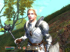 画像集#023のサムネイル/「Oblivion」に「Fallout 3」,聞きたいことが山ほどあるBethesdaにインタビュー