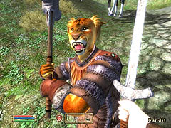 画像集#026のサムネイル/「Oblivion」に「Fallout 3」,聞きたいことが山ほどあるBethesdaにインタビュー