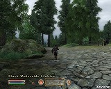 The Elder Scrolls IV: Oblivion