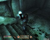 ꡼ No.011 | The Elder Scrolls IV: Oblivion