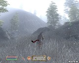 ꡼ No.017 | The Elder Scrolls IV: Oblivion