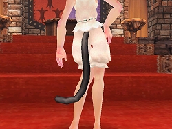 ���������꡼ No.007�Υ���ͥ������ / ��FEZ�ס��ϥ�������˥ԥå�����ɶ񥻥åȤ������Τ��о�