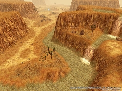 ���������꡼ No.012�Υ���ͥ������ / ��FEZ�ס��ϥ�������˥ԥå�����ɶ񥻥åȤ������Τ��о�