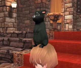 ���������꡼ No.023�Υ���ͥ������ / �֥ե��󥿥��������� �����׽���ˬ��֥ϥ�������פ�ֹ��������פ��������о�