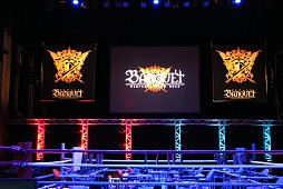 ���������꡼ No.001�Υ���ͥ������ / �֥ե��󥿥��������� �����פΥ��٥�ȡ֥Х󥯥��å� ��Glorious Road 2012���ץ�ݡ��ȡ�2ǯȾ�֤�����ͥ���Ͽ���Ѥ��ʤ����֤ꤹ�����դ�ա�