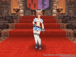 画像ギャラリー No.023のサムネイル画像 / 「ファンタジーアース ゼロ」，ヴィラーノルーレットの景品が本日更新