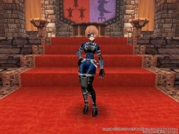 画像ギャラリー No.046のサムネイル画像 / 「ファンタジーアース ゼロ」，ヴィラーノルーレットの景品が本日更新