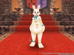 ������#017�Υ���ͥ���/�֥ե��󥿥��������� �����ס����ָ���ǡ֥ϥ�������롼��åȡפ��о�