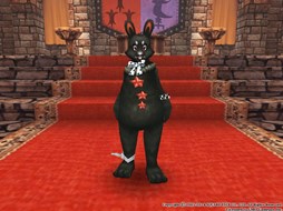 ������#019�Υ���ͥ���/�֥ե��󥿥��������� �����ס����ָ���ǡ֥ϥ�������롼��åȡפ��о�