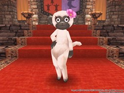 ������#022�Υ���ͥ���/�֥ե��󥿥��������� �����ס����ָ���ǡ֥ϥ�������롼��åȡפ��о�