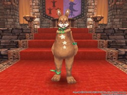 ������#023�Υ���ͥ���/�֥ե��󥿥��������� �����ס����ָ���ǡ֥ϥ�������롼��åȡפ��о�