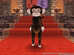 ������#027�Υ���ͥ���/�֥ե��󥿥��������� �����ס����ָ���ǡ֥ϥ�������롼��åȡפ��о�